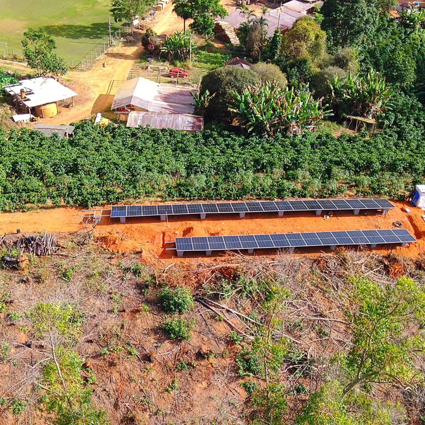 Duas fileiras de painéis solares em estrutura de solo, ao lado de uma plantação