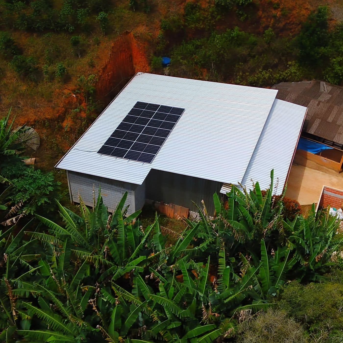 Painéis solares em cobertura metálica de construção rodeada por bananeiras